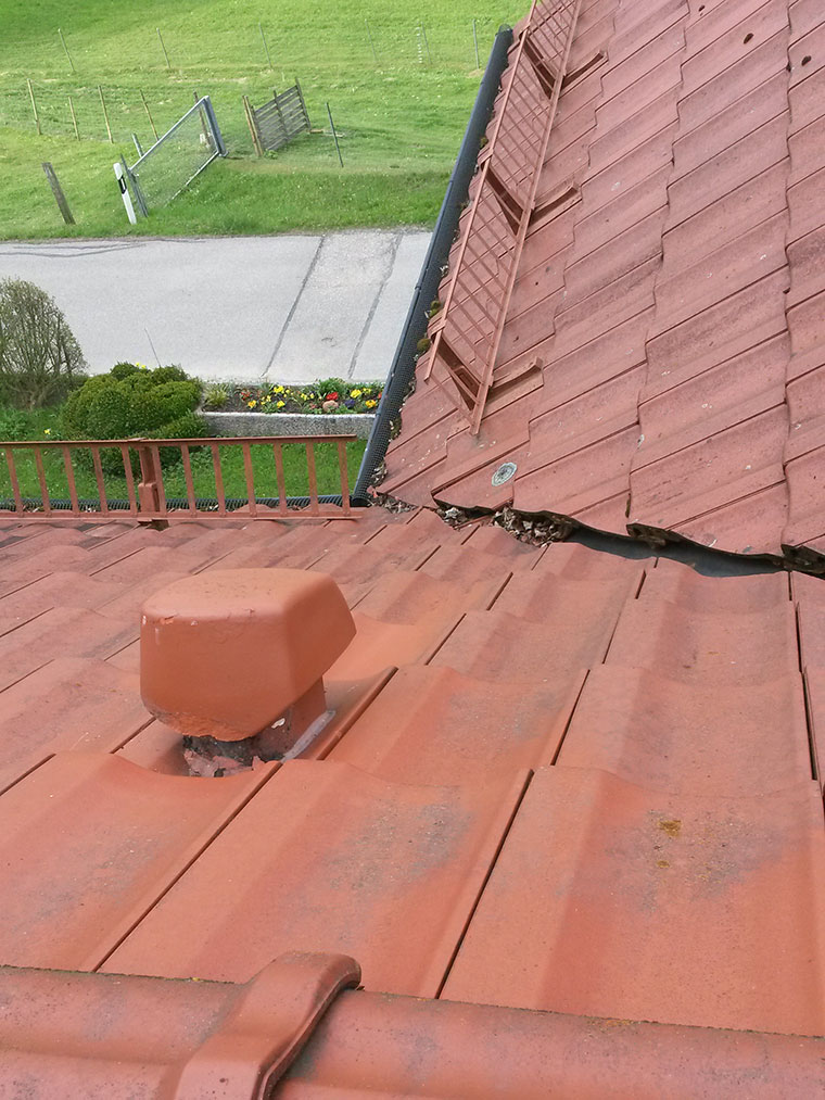 Dach-Wartung in Landshut
